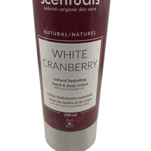 Load image into Gallery viewer, Scentuals White Cranberry Hand &amp; Body Lotion 250ml