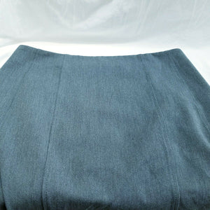 Express Skirt Pleated Charcoal Gray Lined Knee Length Size 12 NWT